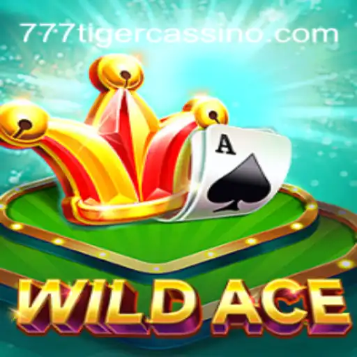 Exploring WildAce: The Ultimate Casino Game Experience
